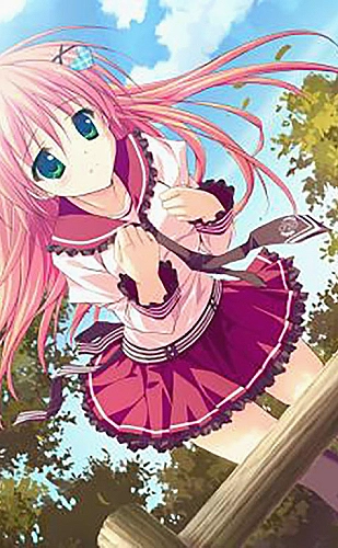 蓝莓视频生活美学：一张餐桌的温柔秩序